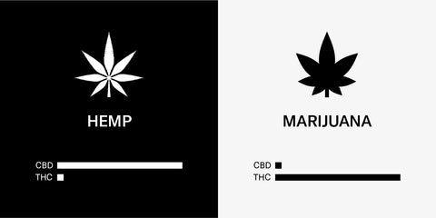 Hemp vs. Marijuana