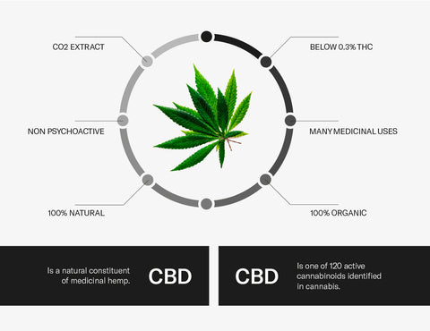 cannabinoid CBD