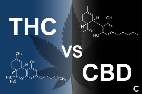 THC vs CBD molecular structure